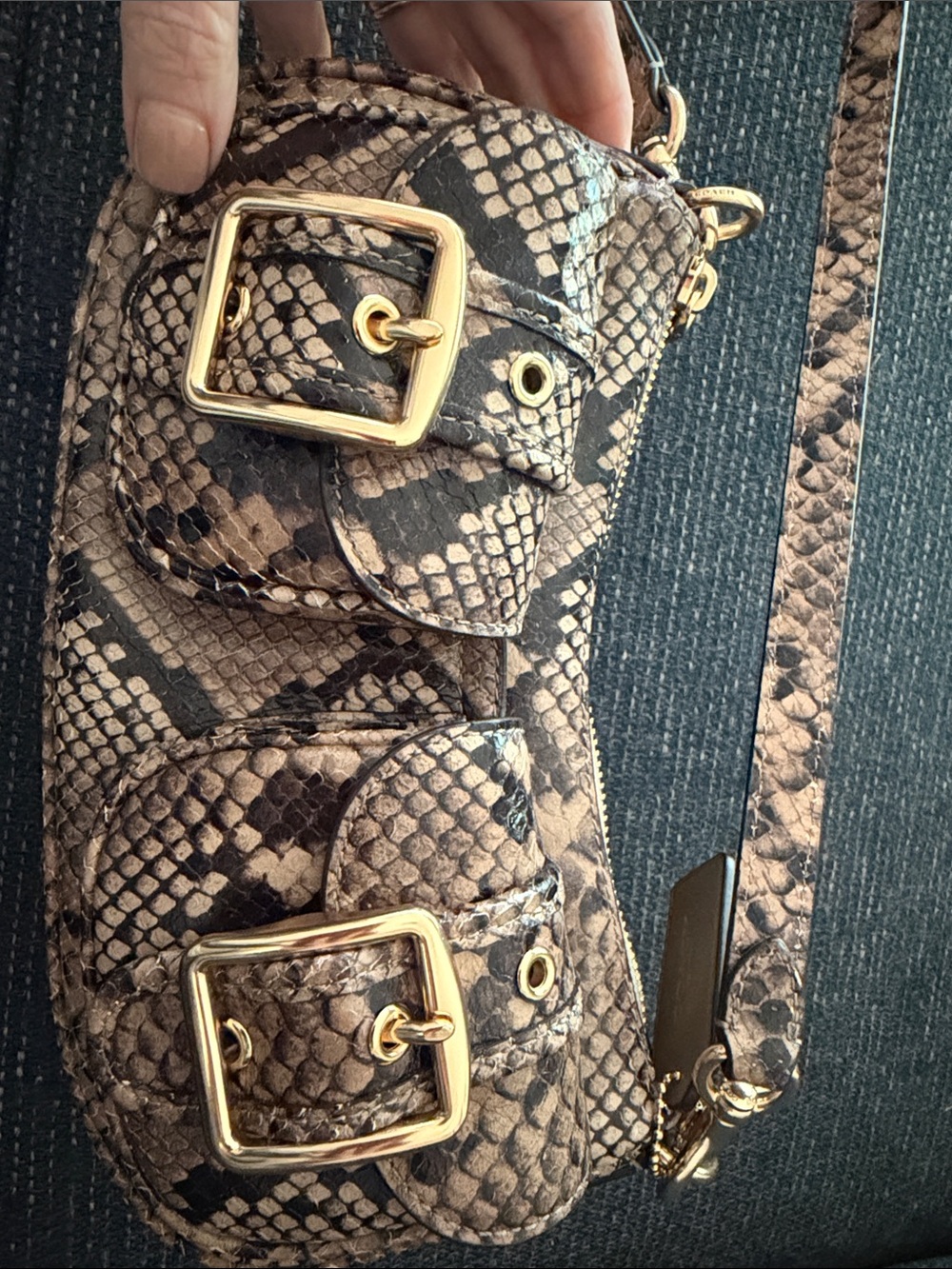 Coach Snake-Print Brown Mini Shoulder Bag with Gold Hardware - Picture 6 of 6